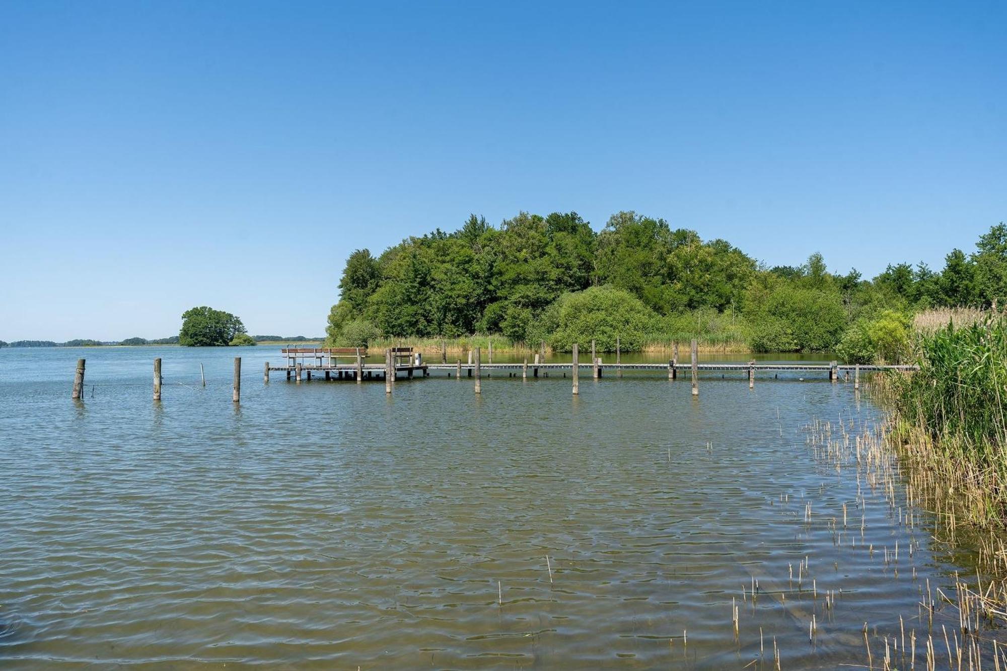 Haus Schwanensee Seeblick Bischofsee 보사우 외부 사진